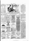 Wexford People Saturday 14 February 1891 Page 3