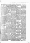 Wexford People Saturday 14 February 1891 Page 5