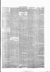 Wexford People Saturday 14 February 1891 Page 7