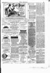 Wexford People Wednesday 18 February 1891 Page 3