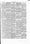 Wexford People Wednesday 18 February 1891 Page 7