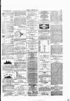 Wexford People Saturday 21 February 1891 Page 3