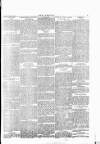 Wexford People Saturday 21 February 1891 Page 5