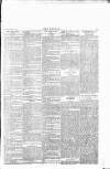 Wexford People Saturday 21 February 1891 Page 7