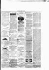 Wexford People Wednesday 25 February 1891 Page 3