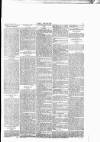 Wexford People Wednesday 25 February 1891 Page 5