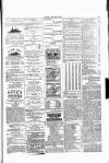 Wexford People Wednesday 13 January 1892 Page 3
