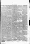 Wexford People Wednesday 13 January 1892 Page 5