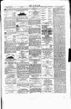 Wexford People Saturday 16 January 1892 Page 3