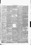 Wexford People Wednesday 27 January 1892 Page 5