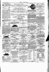 Wexford People Saturday 20 February 1892 Page 3