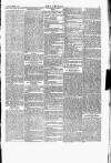 Wexford People Saturday 20 February 1892 Page 7