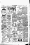 Wexford People Wednesday 24 February 1892 Page 3