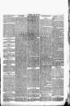 Wexford People Wednesday 24 February 1892 Page 5