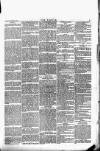 Wexford People Wednesday 24 February 1892 Page 7