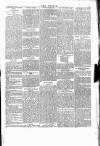 Wexford People Saturday 12 March 1892 Page 5