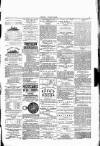Wexford People Wednesday 16 March 1892 Page 3