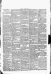 Wexford People Wednesday 16 March 1892 Page 5