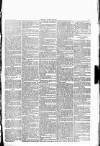 Wexford People Wednesday 16 March 1892 Page 7