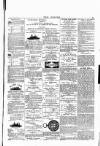 Wexford People Saturday 26 March 1892 Page 3