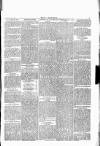 Wexford People Saturday 26 March 1892 Page 5