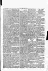 Wexford People Saturday 26 March 1892 Page 7