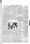 Wexford People Saturday 26 March 1892 Page 11