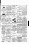 Wexford People Wednesday 30 March 1892 Page 3