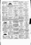 Wexford People Saturday 09 April 1892 Page 3