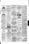 Wexford People Wednesday 13 April 1892 Page 3