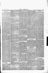 Wexford People Wednesday 20 April 1892 Page 5