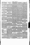 Wexford People Saturday 23 April 1892 Page 5