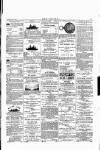 Wexford People Saturday 11 June 1892 Page 3