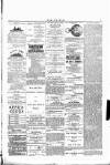 Wexford People Wednesday 22 June 1892 Page 3