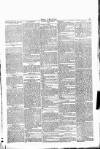 Wexford People Wednesday 22 June 1892 Page 5