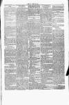 Wexford People Saturday 06 August 1892 Page 7