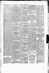 Wexford People Wednesday 10 August 1892 Page 5