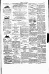 Wexford People Wednesday 17 August 1892 Page 3