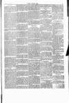 Wexford People Wednesday 17 August 1892 Page 7