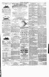 Wexford People Wednesday 31 August 1892 Page 3