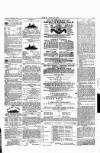 Wexford People Saturday 03 September 1892 Page 3