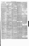 Wexford People Saturday 10 September 1892 Page 7