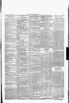 Wexford People Wednesday 21 September 1892 Page 5