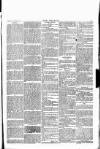 Wexford People Wednesday 21 September 1892 Page 7