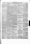 Wexford People Saturday 24 September 1892 Page 7