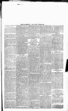 Wexford People Saturday 24 September 1892 Page 11