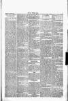 Wexford People Wednesday 09 November 1892 Page 5