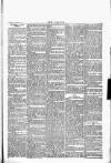 Wexford People Wednesday 09 November 1892 Page 7