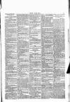 Wexford People Wednesday 16 November 1892 Page 7