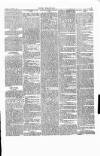 Wexford People Saturday 19 November 1892 Page 5